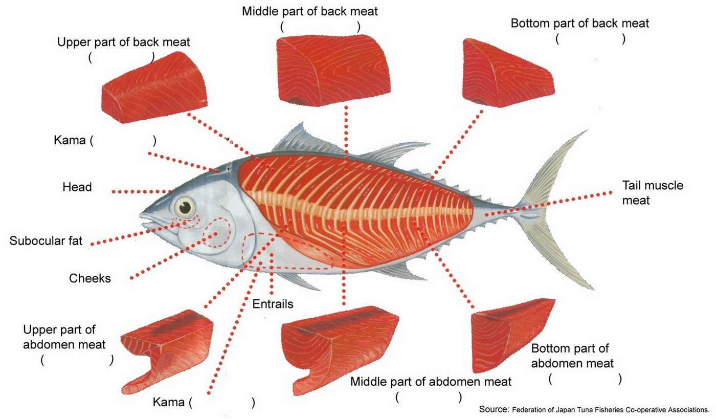 Схема разруба рыбы